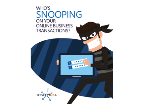 Who’s Snooping On Your Online Business Transaction?