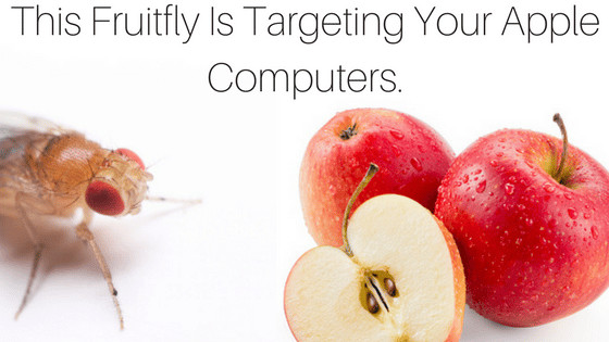 Fruitfly Apple Computers